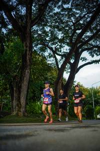 BIB: 
                            <button type="button" onclick="openModal(26550996)" class="btn btn-primary btn-sm float-right btn-popup" data-toggle="modal" data-target=".modal-high-quality">
                        <i class="fas fa-shopping-cart"></i> Add to Cart
                    </button>
                                            <button type="button" onclick="isThisMe(26550996, true)" class="btn btn-success btn-sm float-right btn-popup btn-isme hidden" data-toggle="tooltip" data-placement="bottom" title="นี่คือรูปของคุณใช่ไหม คลิกที่นี่เพื่อเอาเข้าอัลบั้ม">
                        <i class="fas fa-plus"></i> Add to album
                    </button>
                    <button type="button" onclick="isThisMe(26550996, false)" class="btn btn-warning btn-sm float-right btn-popup btn-isnotme hidden">
                        <i class="fas fa-ban"></i> Remove from album
                    </button>